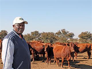 From Cabinet to courtroom to cattle