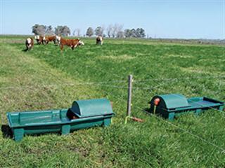 Feedlot & cropland in one