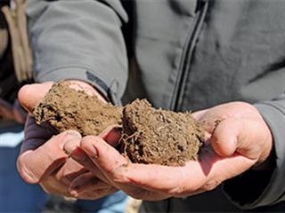 If the soil comes first, the rest will follow If the soil comes first, the rest will follow