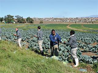 The skills needed to make SA farming more profitable The skills needed to make SA farming more profitable