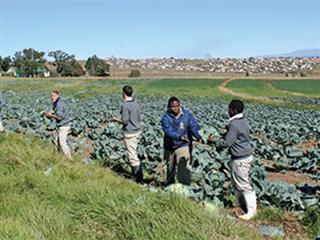 The skills needed to make SA farming more profitable