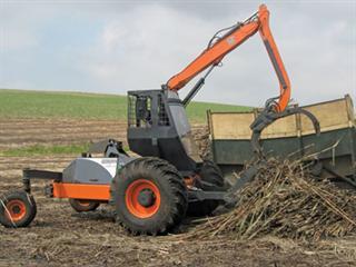 A new look at cane loading