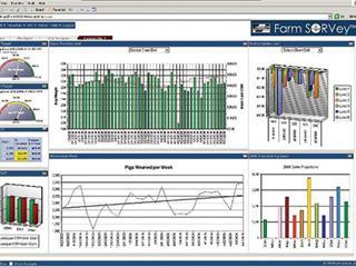 Build a business dashboard