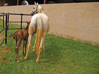 Cutting feed bills