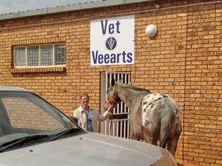 Controlling veterinary costs Controlling veterinary costs