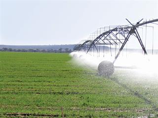 Smart irrigation saves water