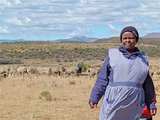 Lessons from a communal wool farmer