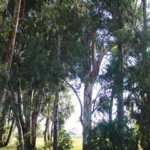 fwa2014106153618.jpg