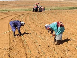 Markets for land reform beneficiaries