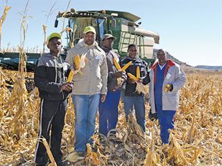 VKB-GFADA maize project helps developing farmers VKB-GFADA maize project helps developing farmers