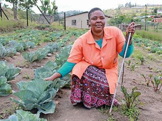 Farmers undeterred by disabilities Farmers undeterred by disabilities