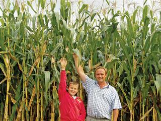 Maize success in the Overberg Maize success in the Overberg