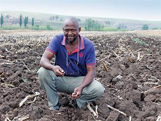 Mad about maize and working the soil