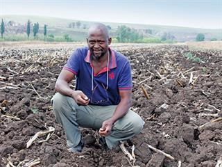 Mad about maize and working the soil Mad about maize and working the soil