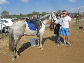 Horses show off their talents