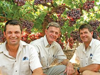 Disease & insect control in grapes Disease & insect control in grapes