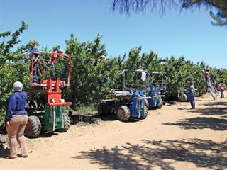 A new platform for fruit picking A new platform for fruit picking