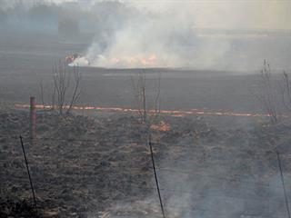 Veld recovery after fire