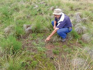 Great Karoo grazing solutions