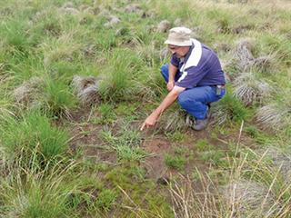 Great Karoo grazing solutions Great Karoo grazing solutions