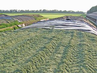 Making grass silage while the sun shines