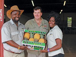 A partnership built on pineapples & a promise