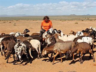 Finding healing and success on a Karoo farm