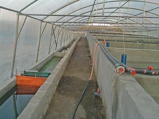 Aquaculture: Are we making progress? Aquaculture: Are we making progress?