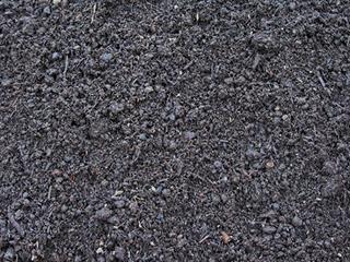 Mulching: what it is, and how to do it properly