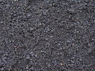 Mulching: what it is, and how to do it properly Mulching: what it is, and how to do it properly