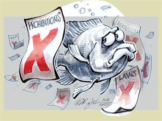 Aquaculture legislation quagmire Aquaculture legislation quagmire