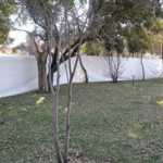 fwa201463012484.jpg