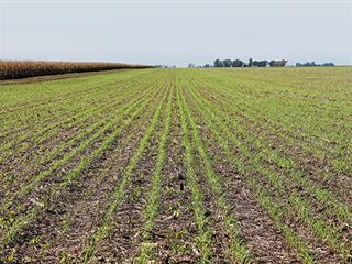 Grassroots no-till in Argentina Grassroots no-till in Argentina