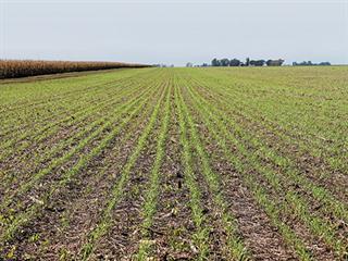 Grassroots no-till in Argentina