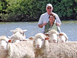 One hundred years in the Karoo