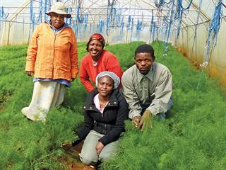 Earthworms boost organic exports Earthworms boost organic exports