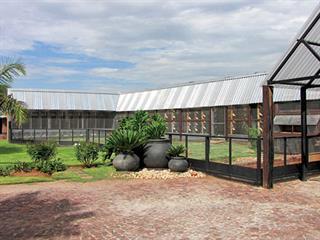 A basic pigeon loft structure