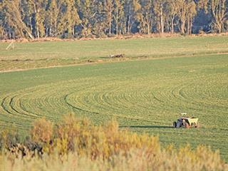 Production secrets of a top barley farmer