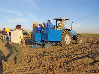 Reapers product launch: sugarcane planter