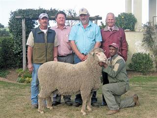 Goedeverwagting Merino Production Sale