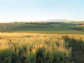 Beating the drought with conservation farming Beating the drought with conservation farming