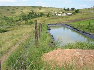 Aquaculture – the ‘right’ and ‘wrong’ stuff Aquaculture – the ‘right’ and ‘wrong’ stuff