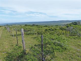 The colour blindness of apartheid land expropriation The colour blindness of apartheid land expropriation