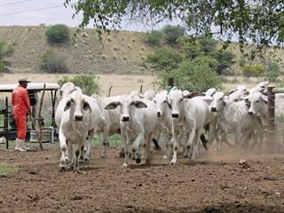 Loriza Brahman: where excellence is a given Loriza Brahman: where excellence is a given