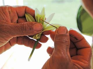 Producing real vanilla on Réunion Island