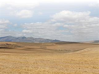 Growing barley for beer – responsibly Growing barley for beer – responsibly