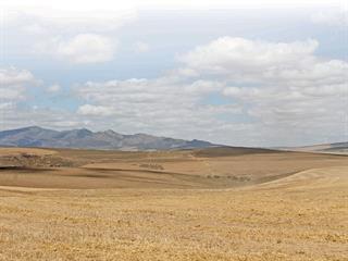 Growing barley for beer – responsibly