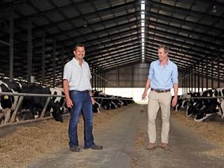 Survey: Dairy producers get the basics right