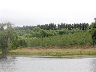 Land reform success for Western Cape fruit farmer