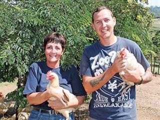 Producing free-range eggs in KZN